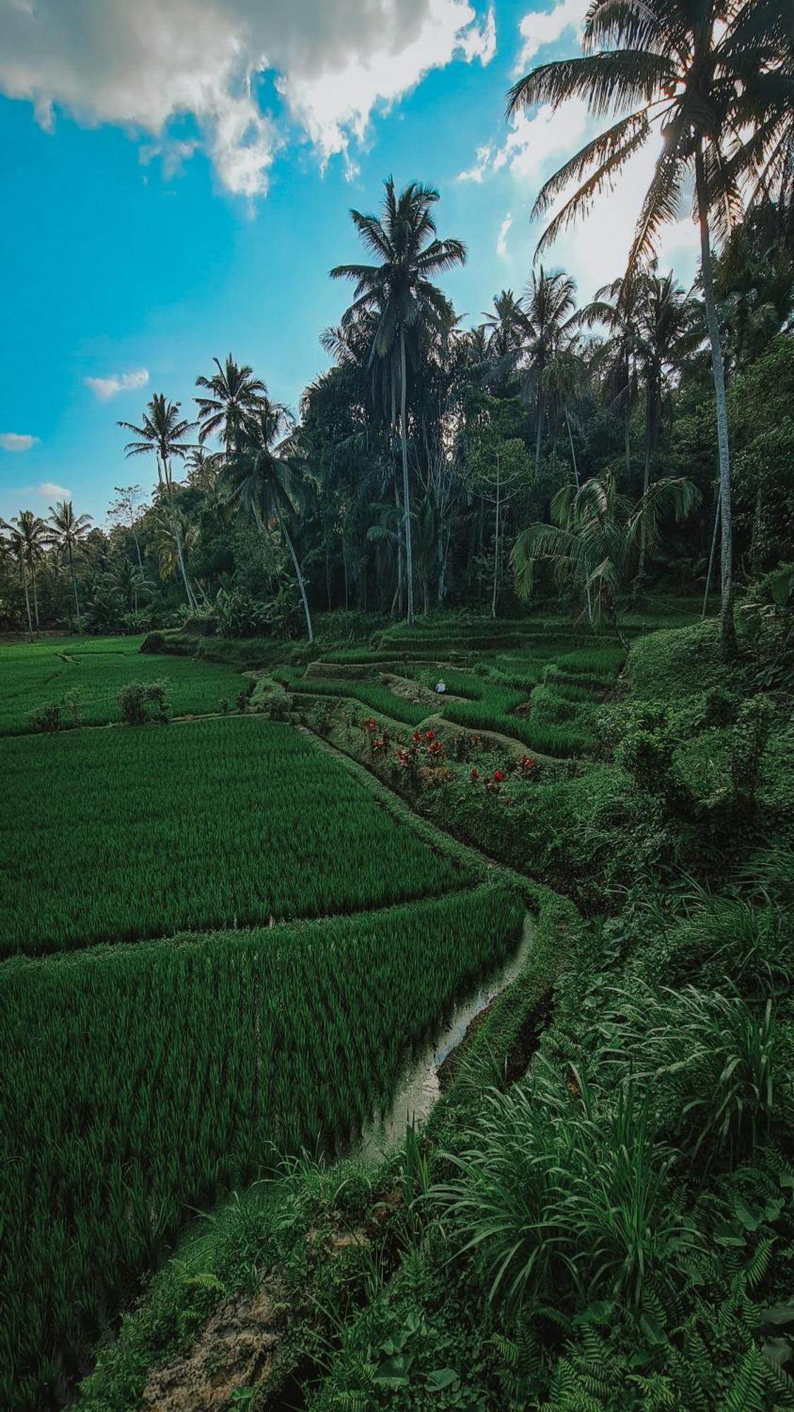 Villa Tirta Sari Tampaksiring Exterior foto