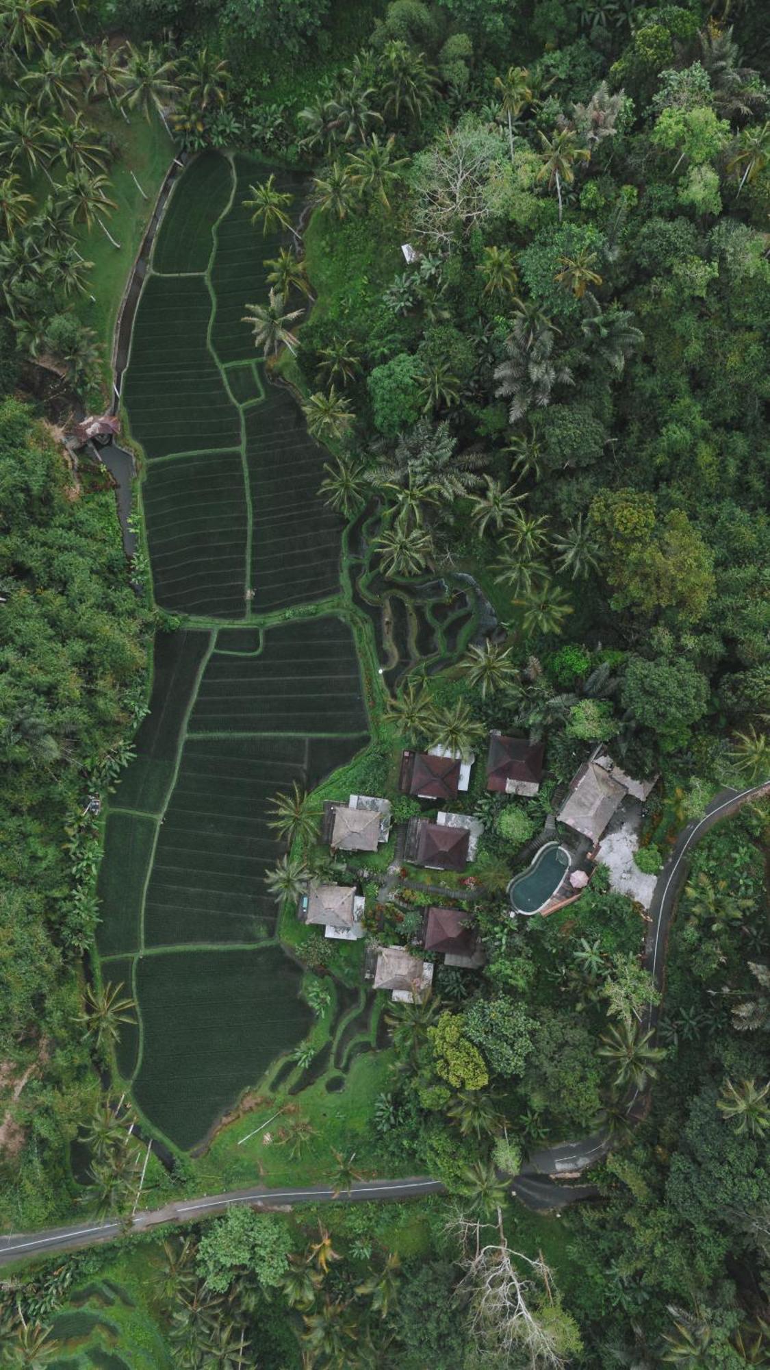 Villa Tirta Sari Tampaksiring Exterior foto